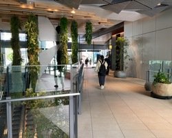 渋谷アクシュビル内に入りそのまま直進します。