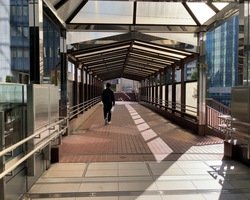 渋谷アクシュビル内を抜けると、歩道橋が現れるので渡りましょう。